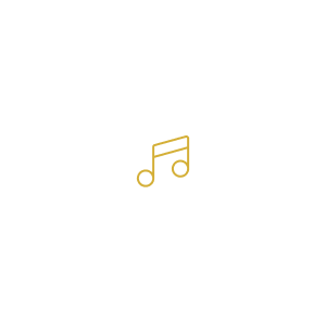 Play/Pause